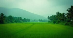 south india weather in october