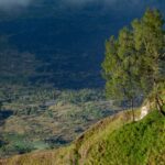 Best Hill Stations Near Chandigarh You Must Visit in 2025