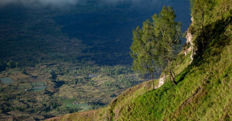 Hill Stations Near Chandigarh